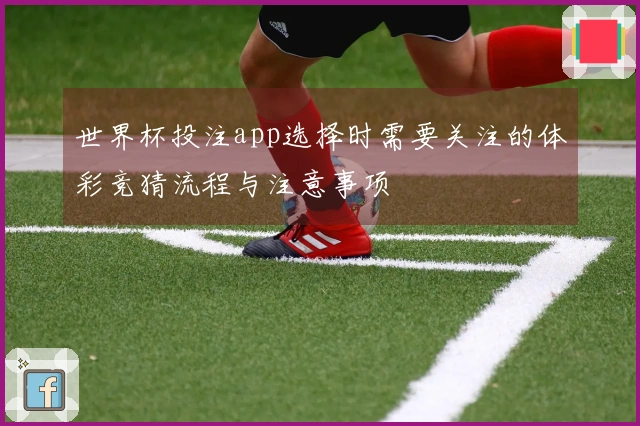 世界杯投注app选择时需要关注的体彩竞猜流程与注意事项