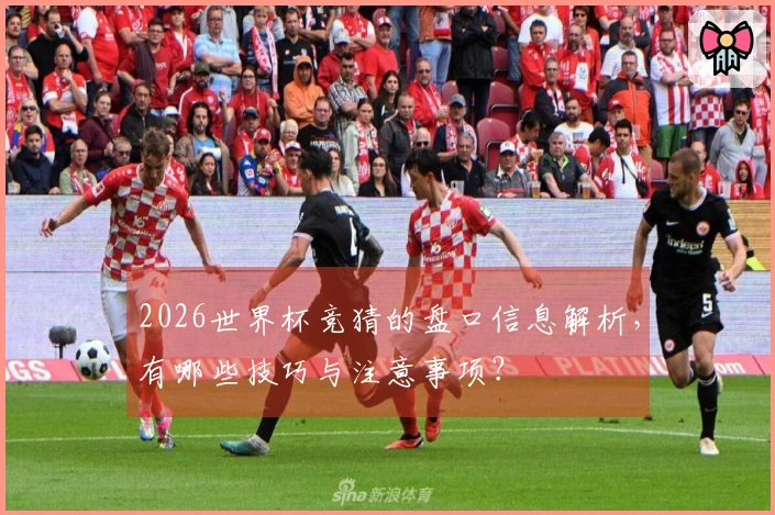 2026世界杯竞猜的盘口信息解析，有哪些技巧与注意事项？